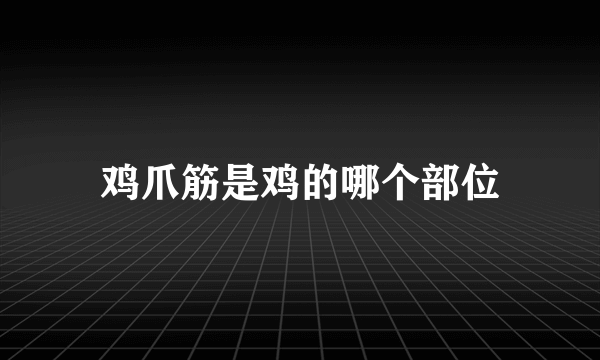 鸡爪筋是鸡的哪个部位