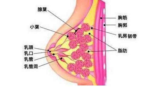 乳腺增生的症状有哪些？