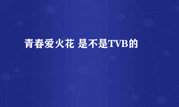 青春爱火花 是不是TVB的