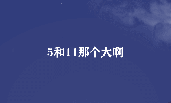 5和11那个大啊