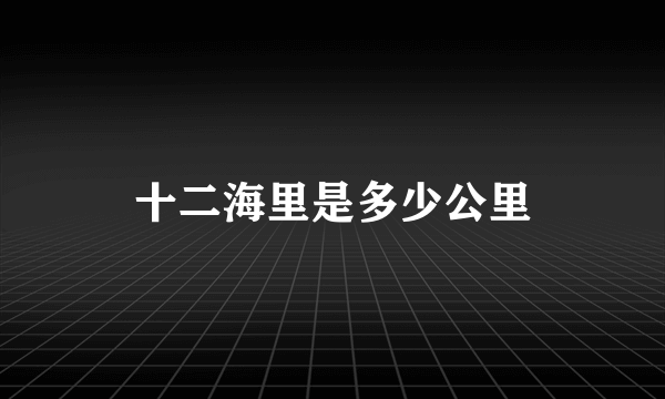 十二海里是多少公里