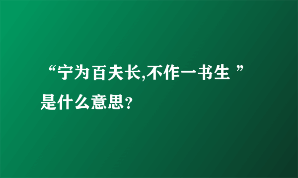 “宁为百夫长,不作一书生 ”是什么意思？