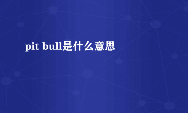 pit bull是什么意思