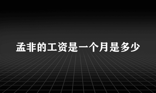 孟非的工资是一个月是多少