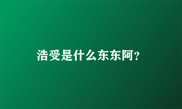 浩受是什么东东阿？