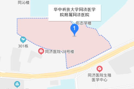 武汉同济医院在哪里？