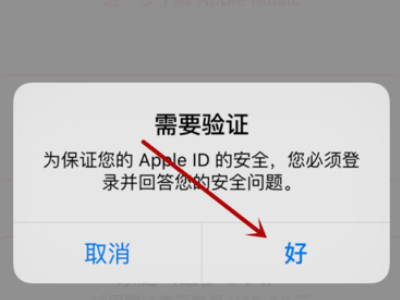 apple music 中国怎么用