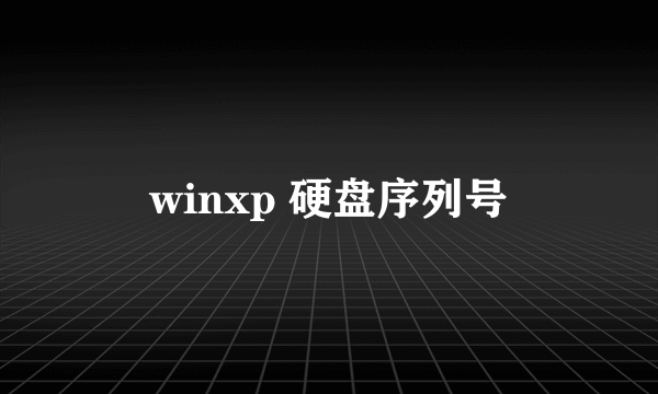 winxp 硬盘序列号