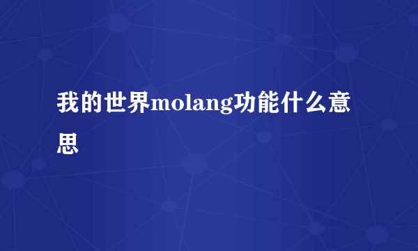 我的世界molang功能什么意思