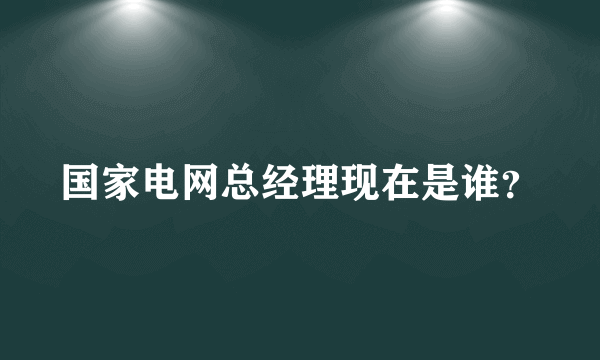 国家电网总经理现在是谁？