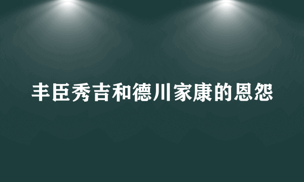 丰臣秀吉和德川家康的恩怨