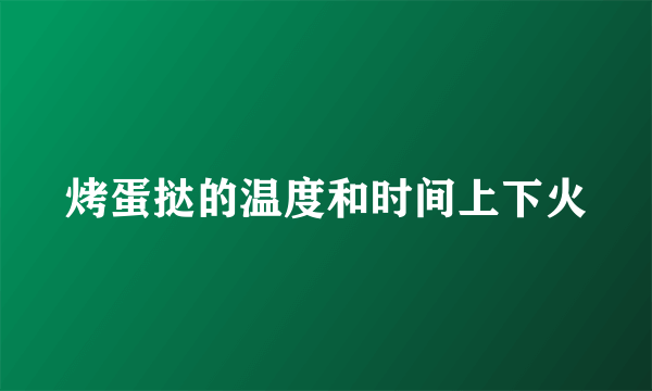 烤蛋挞的温度和时间上下火