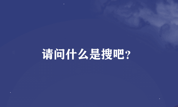 请问什么是搜吧？