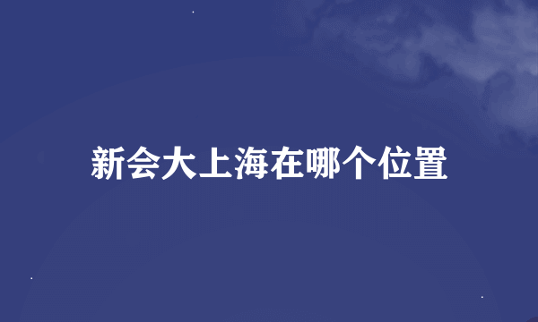 新会大上海在哪个位置