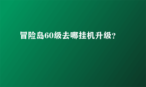 冒险岛60级去哪挂机升级？