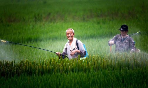 农民是什么意思？