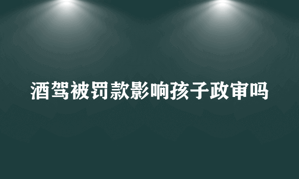 酒驾被罚款影响孩子政审吗