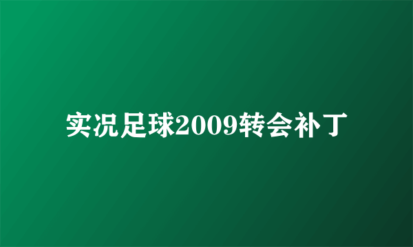 实况足球2009转会补丁