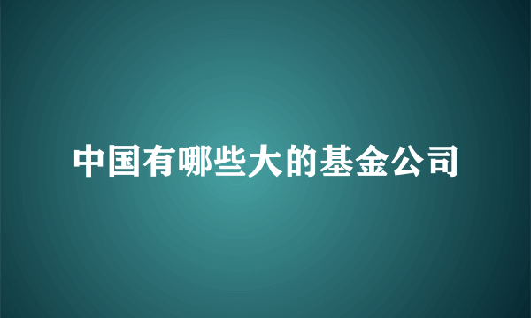 中国有哪些大的基金公司