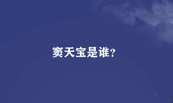 窦天宝是谁？