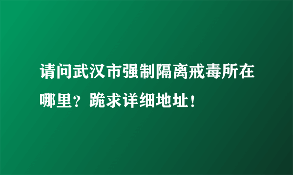 请问武汉市强制隔离戒毒所在哪里？跪求详细地址！