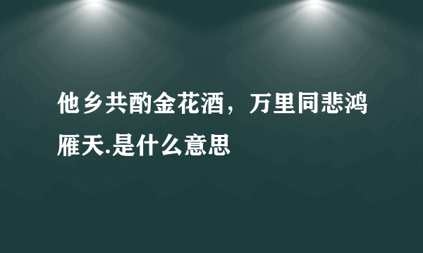 他乡共酌金花酒，万里同悲鸿雁天.是什么意思