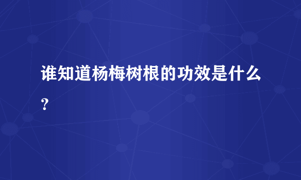 谁知道杨梅树根的功效是什么？