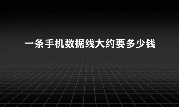 一条手机数据线大约要多少钱