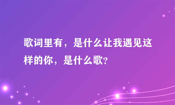 歌词里有，是什么让我遇见这样的你，是什么歌？