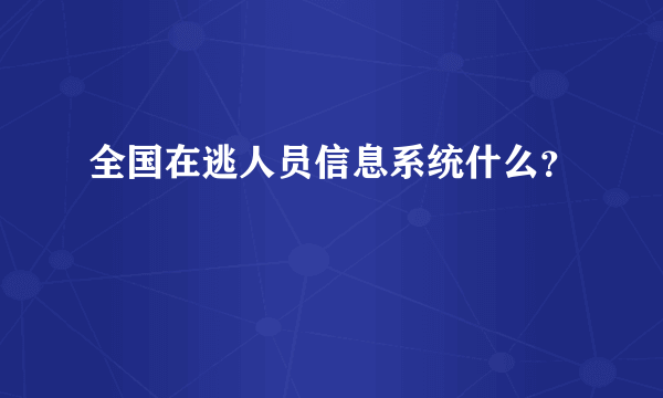 全国在逃人员信息系统什么？