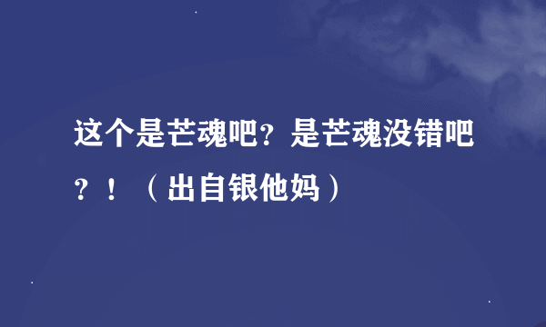 这个是芒魂吧？是芒魂没错吧？！（出自银他妈）