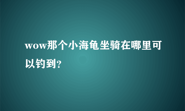 wow那个小海龟坐骑在哪里可以钓到？