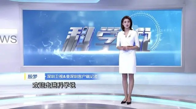 深圳卫视节目表