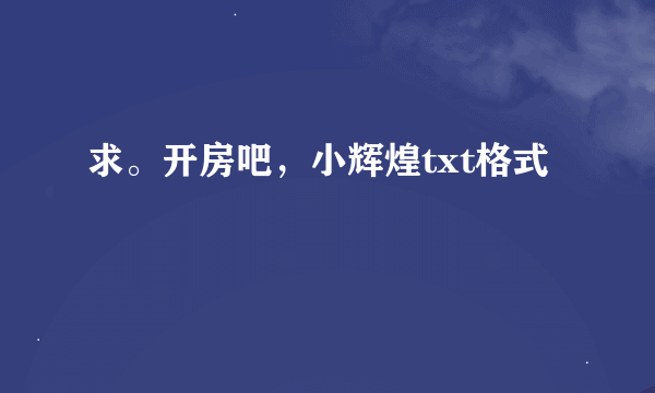 求。开房吧，小辉煌txt格式