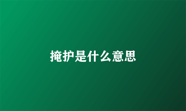 掩护是什么意思