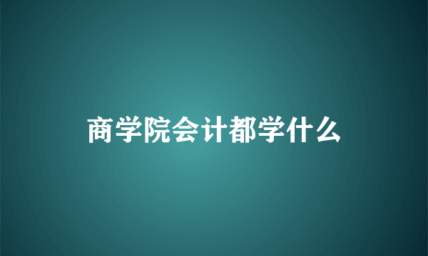 商学院会计都学什么