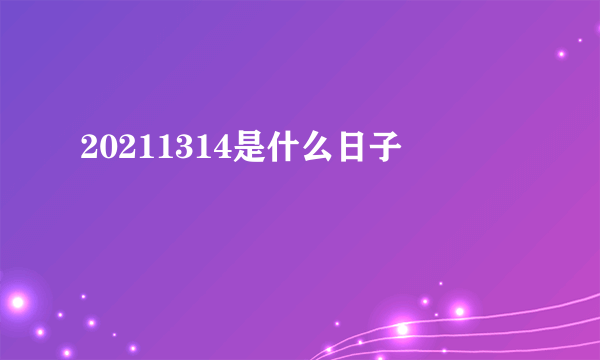 20211314是什么日子