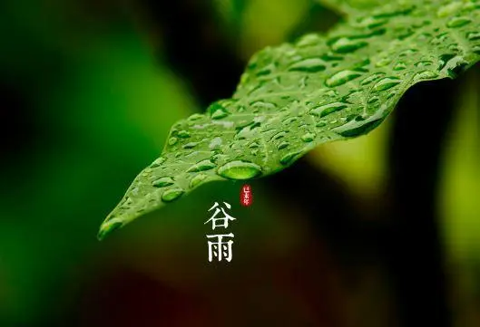 谷雨是什么意思?