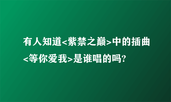 有人知道<紫禁之巅>中的插曲<等你爱我>是谁唱的吗?