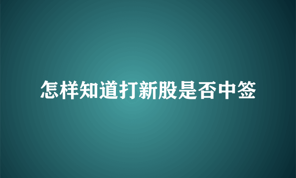 怎样知道打新股是否中签