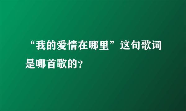 “我的爱情在哪里”这句歌词是哪首歌的？