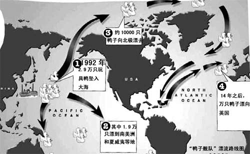 鸭子舰队的事件经过