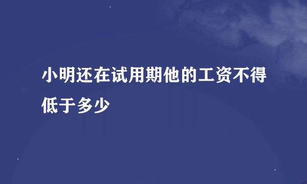 小明还在试用期他的工资不得低于多少