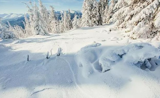 关于大雪节气的谚语有哪些