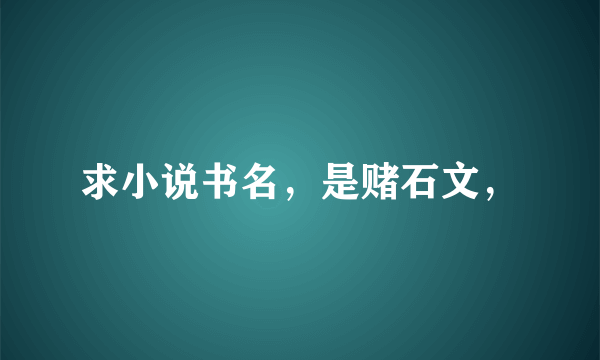 求小说书名，是赌石文，