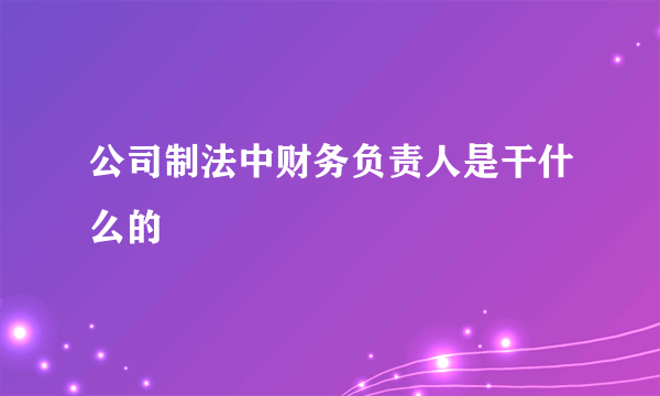 公司制法中财务负责人是干什么的