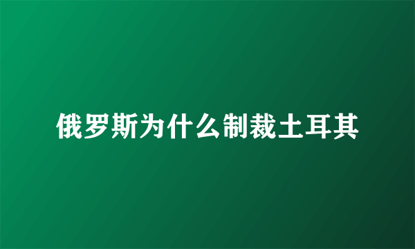 俄罗斯为什么制裁土耳其