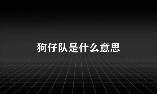 狗仔队是什么意思