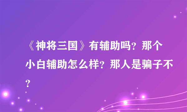 《神将三国》有辅助吗？那个小白辅助怎么样？那人是骗子不？