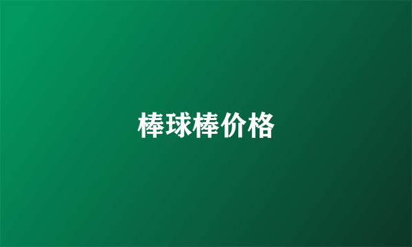 棒球棒价格